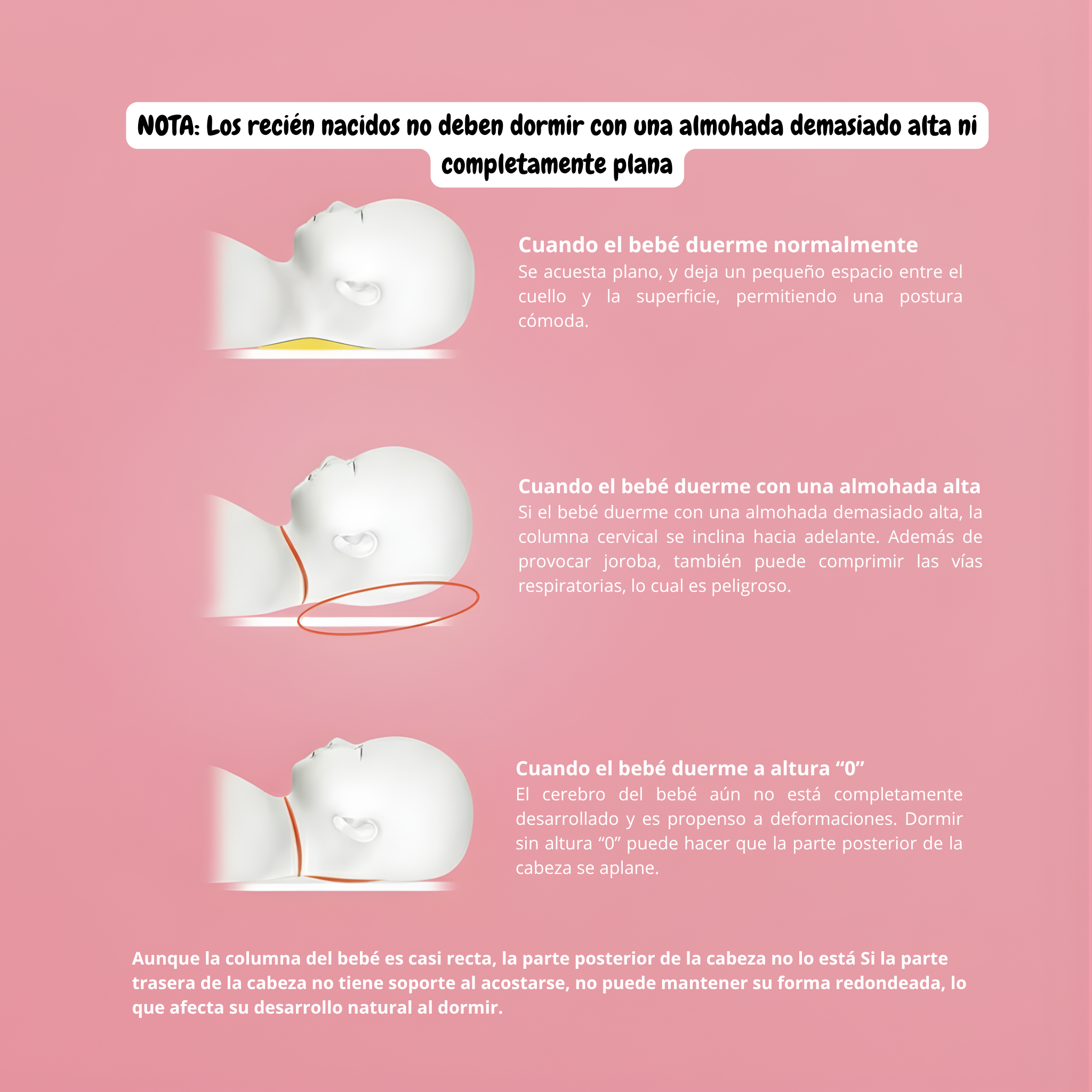 Cojín Moldeador de cabeza Plana Internacional